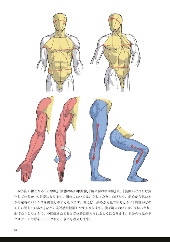 [No Watermark][Bought] Artistic Anatomy of Poses [448P]