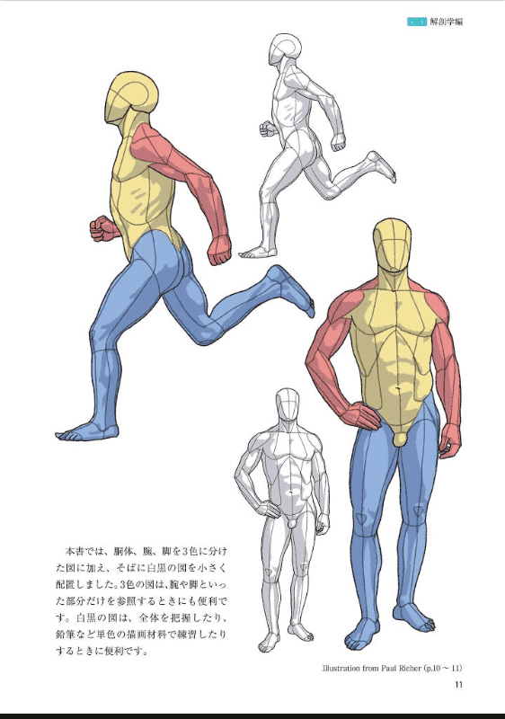 [No Watermark][Bought] Artistic Anatomy of Poses [448P]