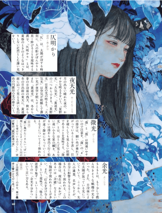 [In Exchange] Dictionary of Words for Light, Shadow and Color [224P]