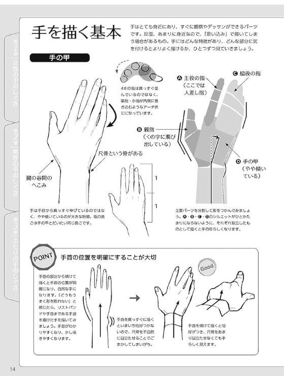 [In Exchange] Hand‑Gesture Illustration Pose Collection [159P]