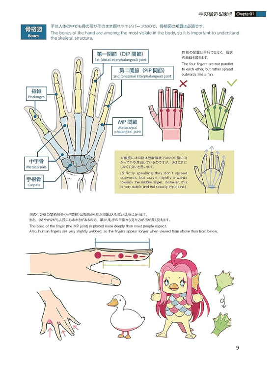 [In Exchange] Hand Pose Compendium: A Practical Guide [159P]
