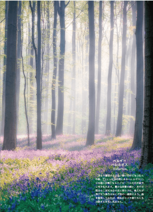 [In Exchange] World: Scenes of Illusion and Fantasy [128P]