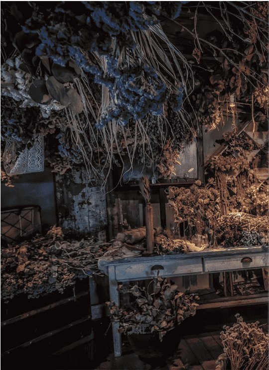 [已完成][近期下架]幻想店舗录：最接近异世界的地方[144P]