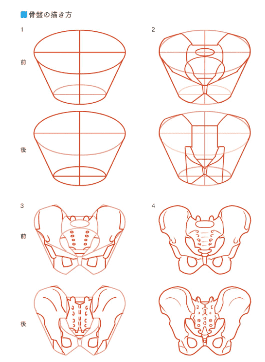 [In Exchange] Axis‑Based Human‑Figure Art Anatomy [432P]