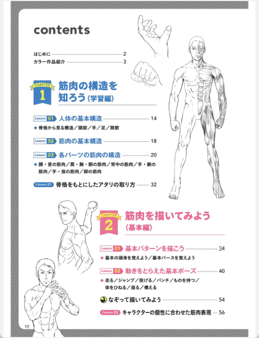 [已完成]掌握结构与动态！肌肉绘制基础课[148P]