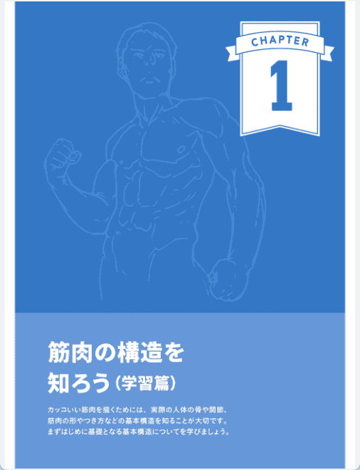 [已完成]掌握结构与动态！肌肉绘制基础课[148P]