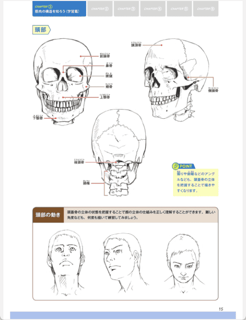 [已完成]掌握结构与动态！肌肉绘制基础课[148P]