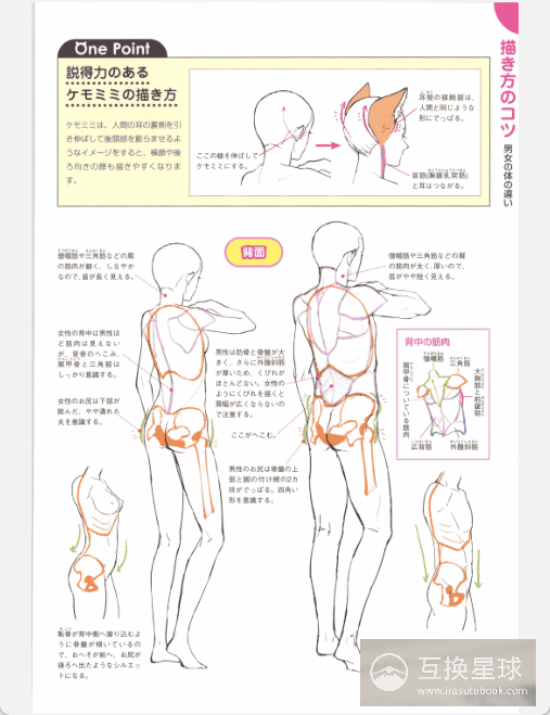 [已完成]兽耳的画法[155P]