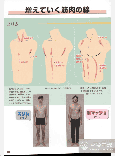 [已完成]男性肌肉的画法[160P]