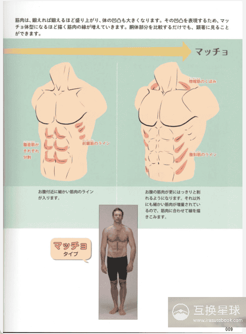 [已完成]男性肌肉的画法[160P]