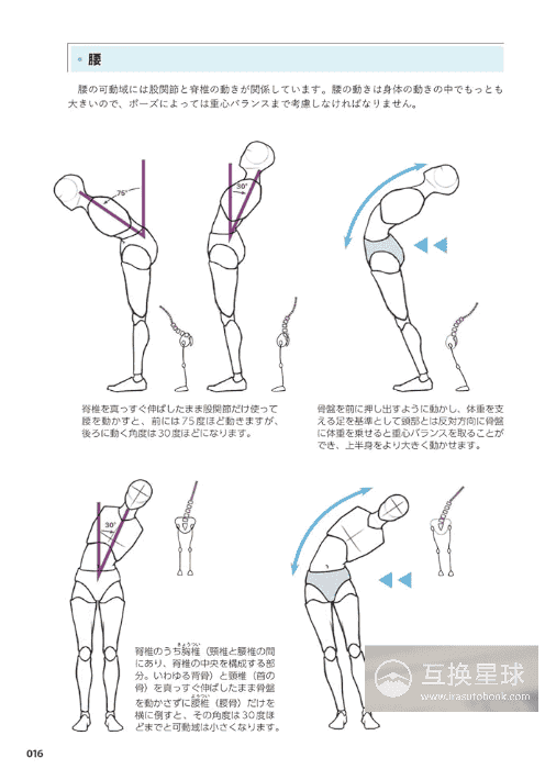 [In Exchange] Natural Pose Drawing: Learn From Human Body Anatomy [432P]