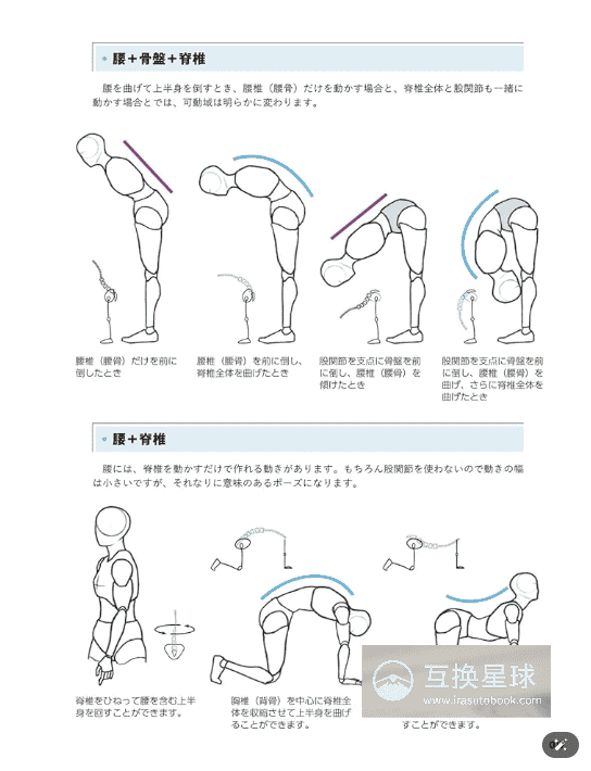 [In Exchange] Natural Pose Drawing: Learn From Human Body Anatomy [432P]