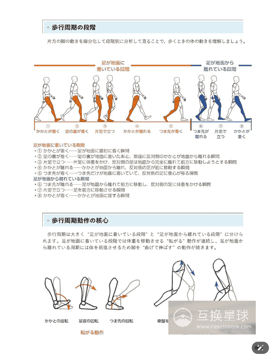 [In Exchange] Natural Pose Drawing: Learn From Human Body Anatomy [432P]