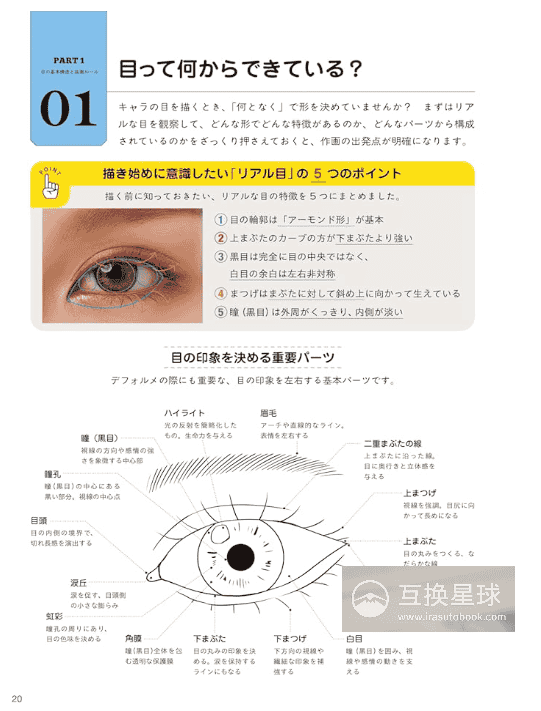 [In Exchange] Eye‑Drawing Reference Catalog: From Basic Structures to Component Details [160P]