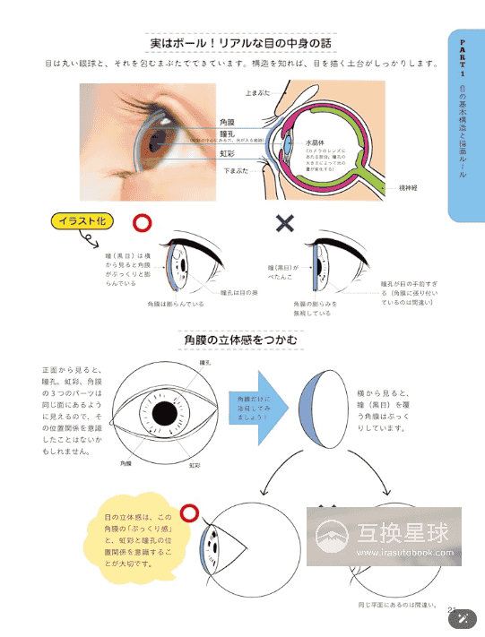 [In Exchange] Eye‑Drawing Reference Catalog: From Basic Structures to Component Details [160P]