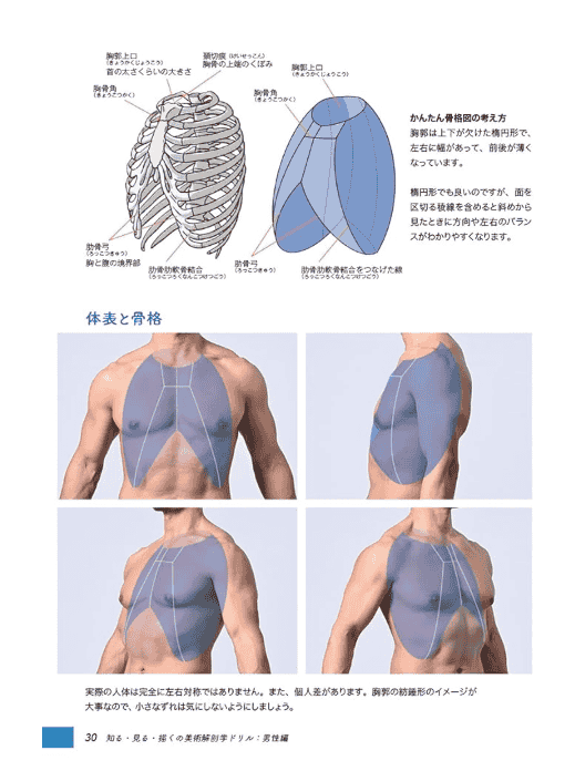 [In Exchange] Cognition · Observation · Drawing: Art Anatomy Workbook [356P]